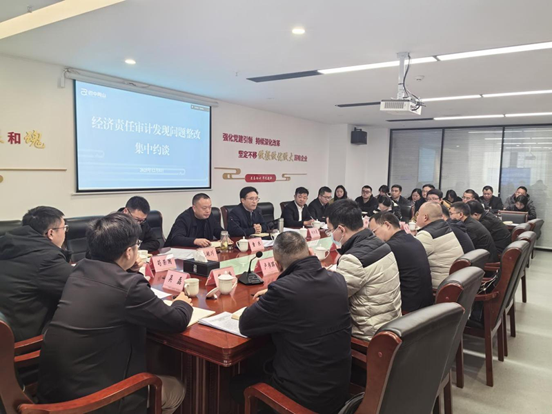 巴中兩山公司召開(kāi)經(jīng)濟(jì)責(zé)任審計(jì)發(fā)現(xiàn)問(wèn)題整改集中約談會(huì)